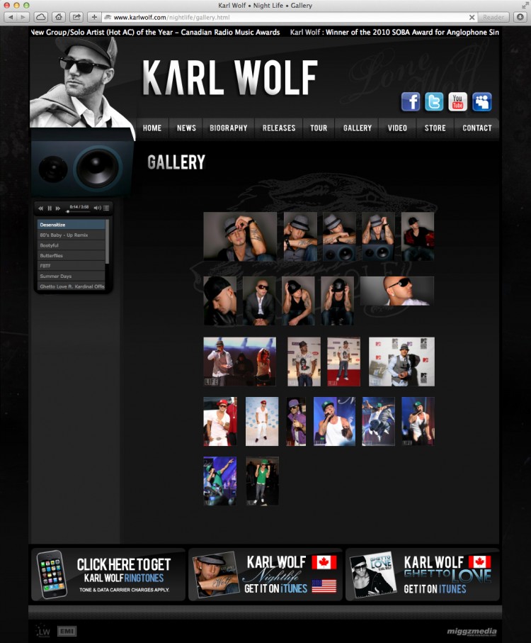 Karl Wolf